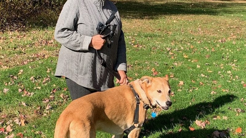 Twinsburg Dog Park - Twinsburg, OH