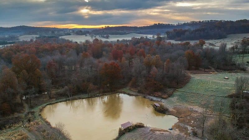 Bullseye Pheasant Preserve - Uhrichsville, OH
