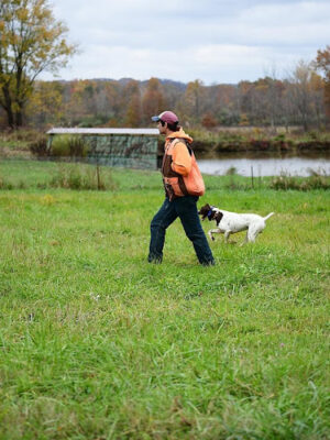 Bullseye Pheasant Preserve
