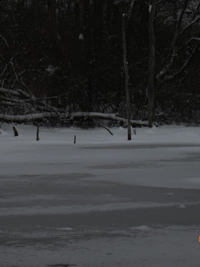 Stillwater Creek - Uhrichsville, OH