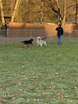 Tails on the Trail (Dog Park)
