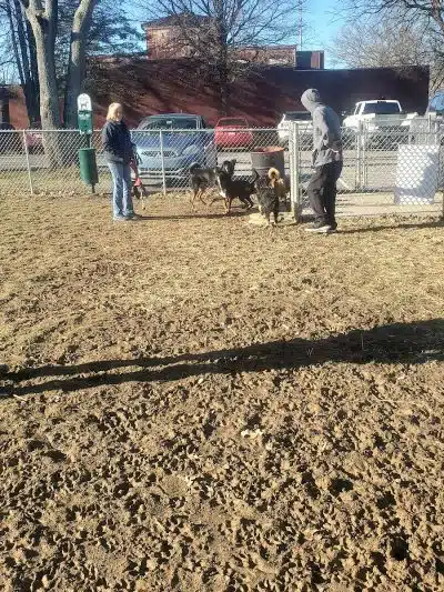 Tails on the Trail (Dog Park) - Uniontown, PA