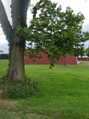 Farm Life Kennels LLC