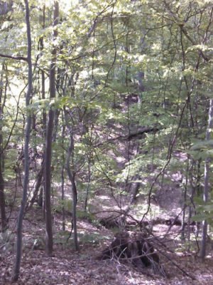 Valley View Woods Park