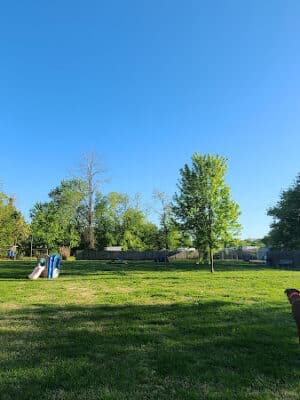 Bark Park