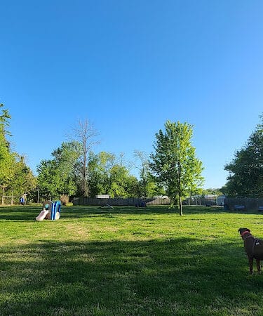 Bark Park