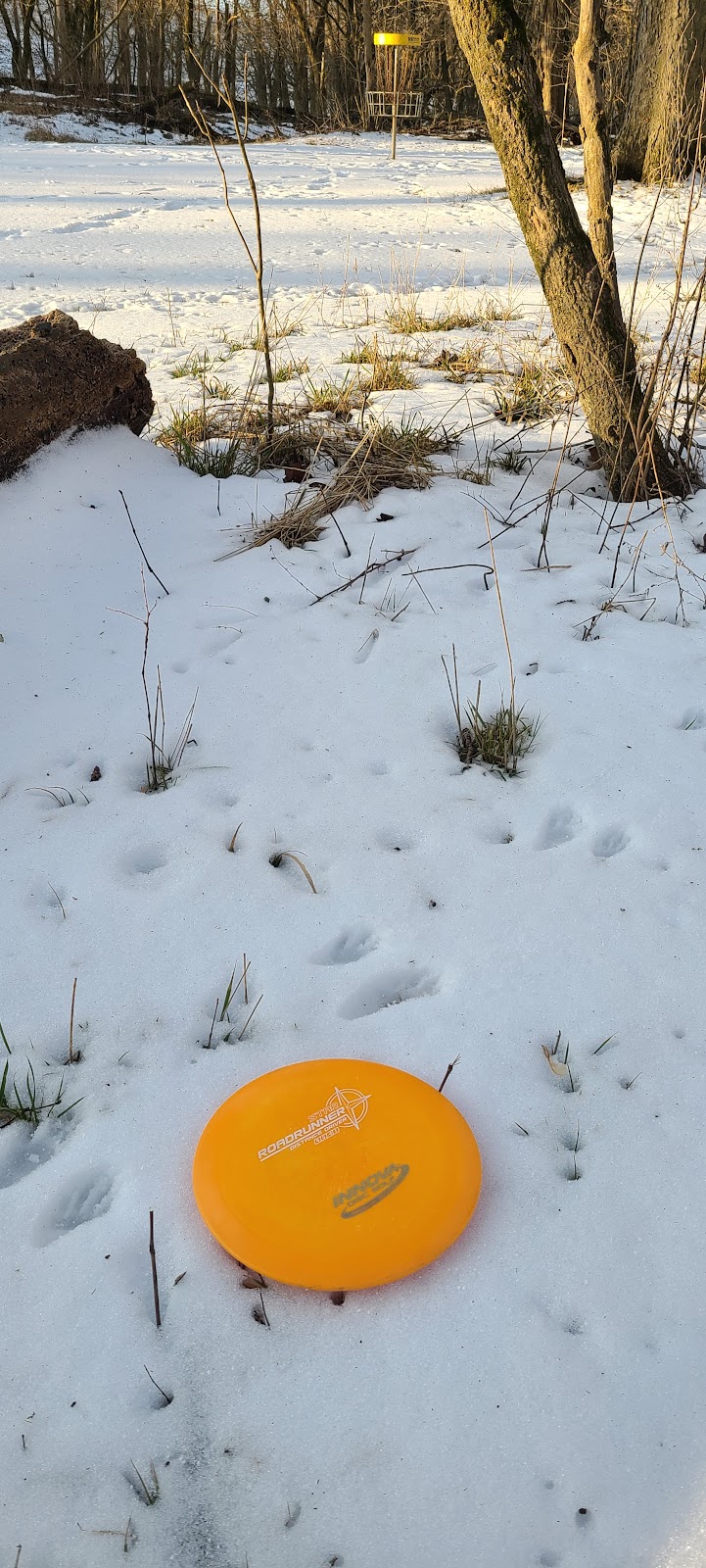 Englewood MetroPark Disc Golf Course - Vandalia, OH