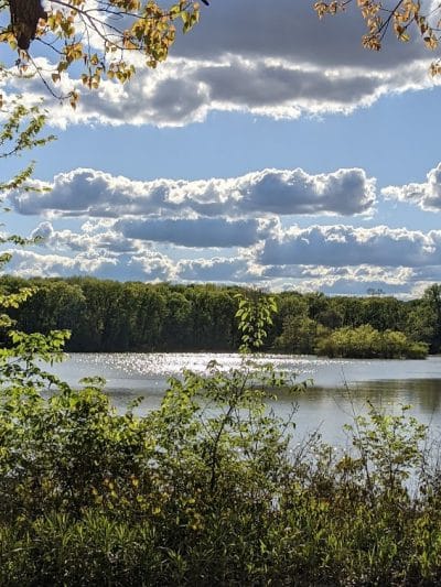 Englewood MetroPark Disc Golf Course - Vandalia, OH