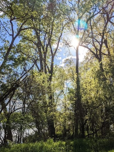 Englewood MetroPark Disc Golf Course - Vandalia, OH