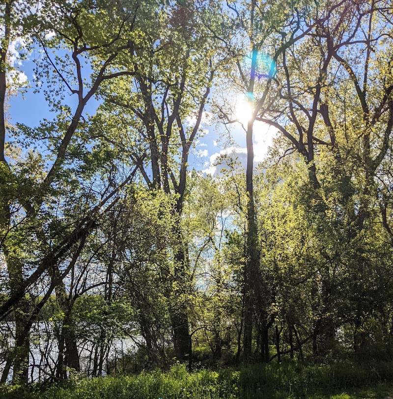 Englewood MetroPark Disc Golf Course - Vandalia, OH