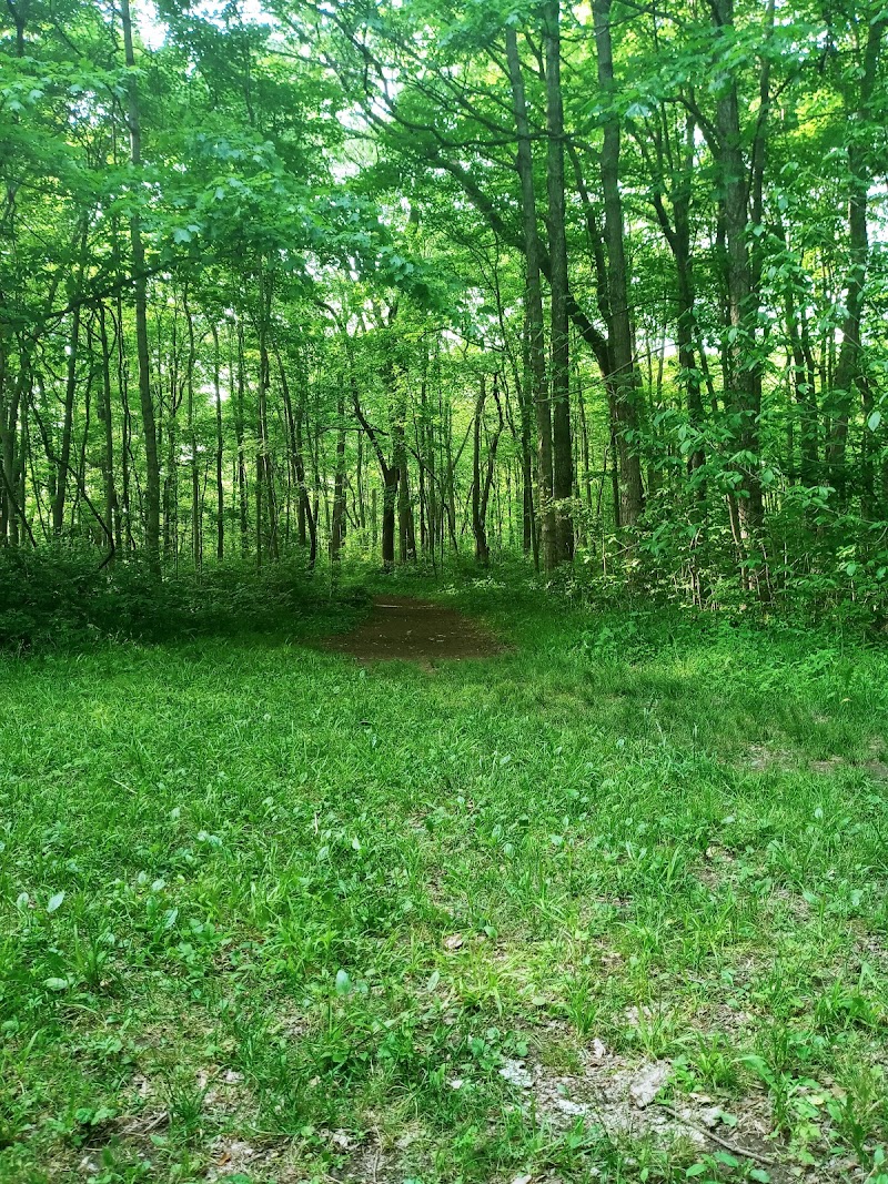Englewood MetroPark East Park - Vandalia, OH