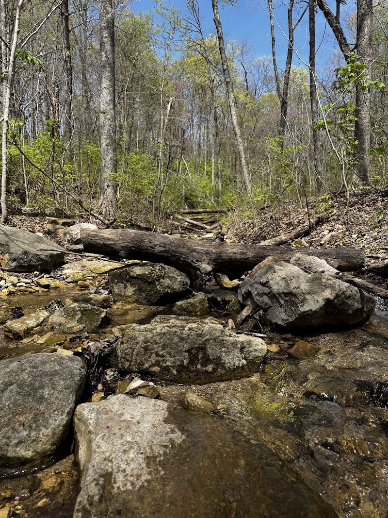 Englewood MetroPark Green Trail Loop - Vandalia, OH
