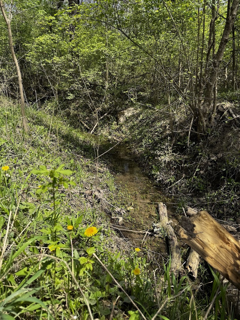 Englewood MetroPark Green Trail Loop - Vandalia, OH