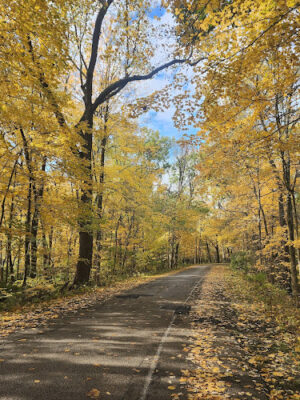 Englewood MetroPark Green Trail Loop