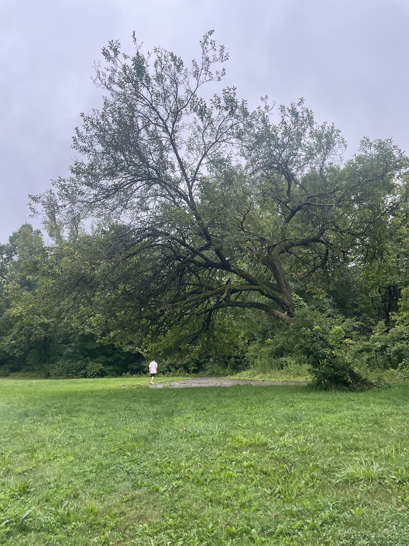 Englewood MetroPark Green Trail Loop - Vandalia, OH