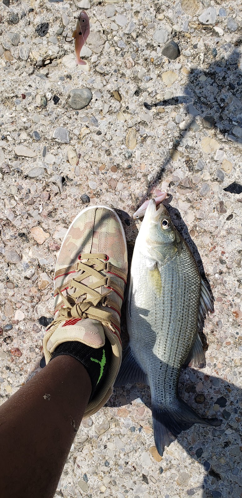 Englewood MetroPark North Park - Vandalia, OH