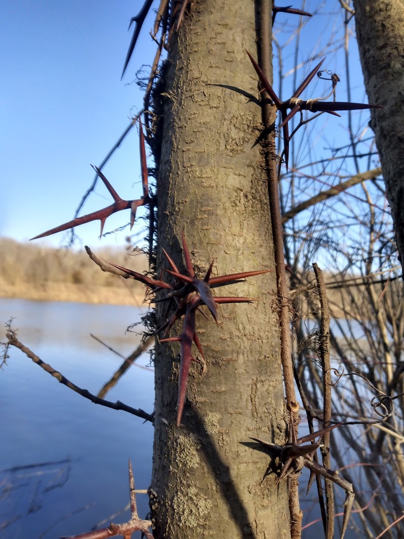 Englewood MetroPark North Park - Vandalia, OH