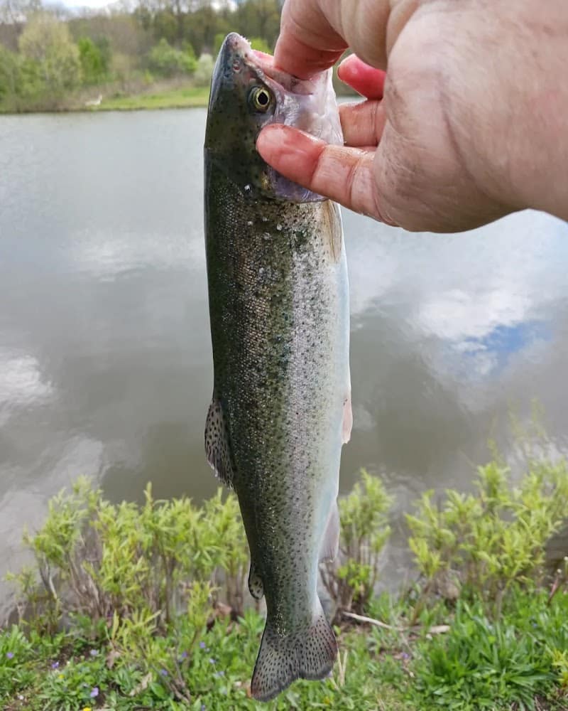 Englewood MetroPark North Park - Vandalia, OH