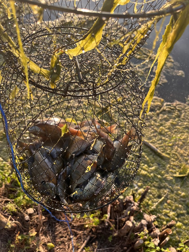 Englewood MetroPark North Park - Vandalia, OH