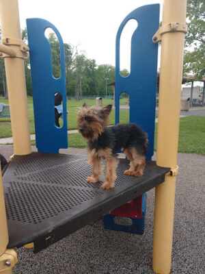 Helke Park