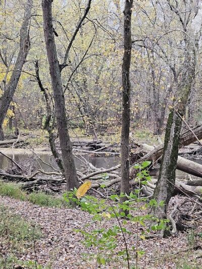 Taylorsville Metropark East Parking - Vandalia, OH