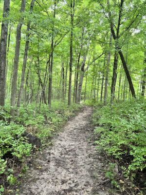 Taylorsville MetroPark West Park Entrance
