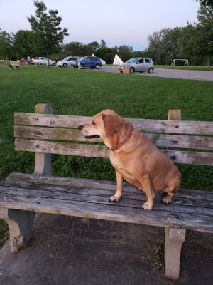 Sherod Park