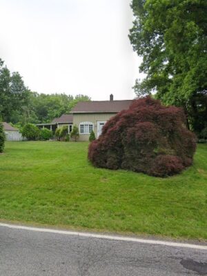 Vermilion Ohio Dog Park - By Reservation Only