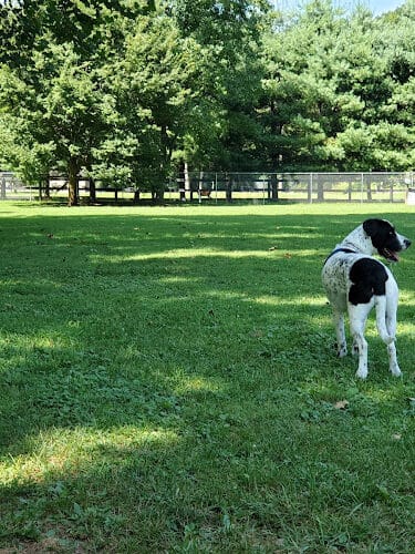 Park for Big Dogs@ Jackson Park - Vienna, WV