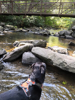 Skunk Hollow Park