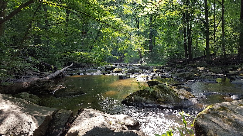 Skunk Hollow Park - Villanova, PA