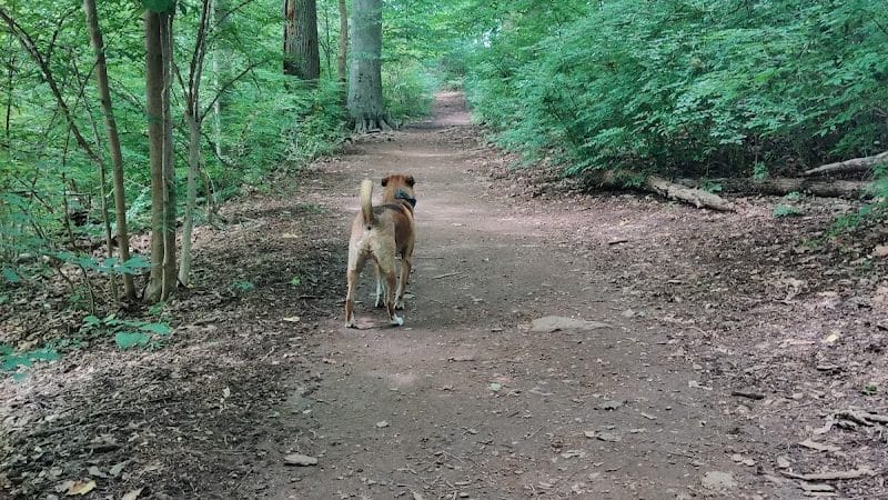 Skunk Hollow Park - Villanova, PA