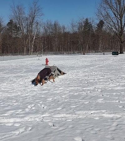 Wadsworth Community Dog Park - Wadsworth, OH