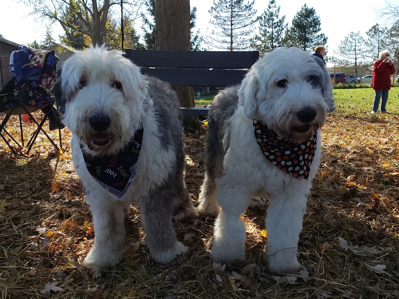 Red River Dog Farm - Wakeman, OH