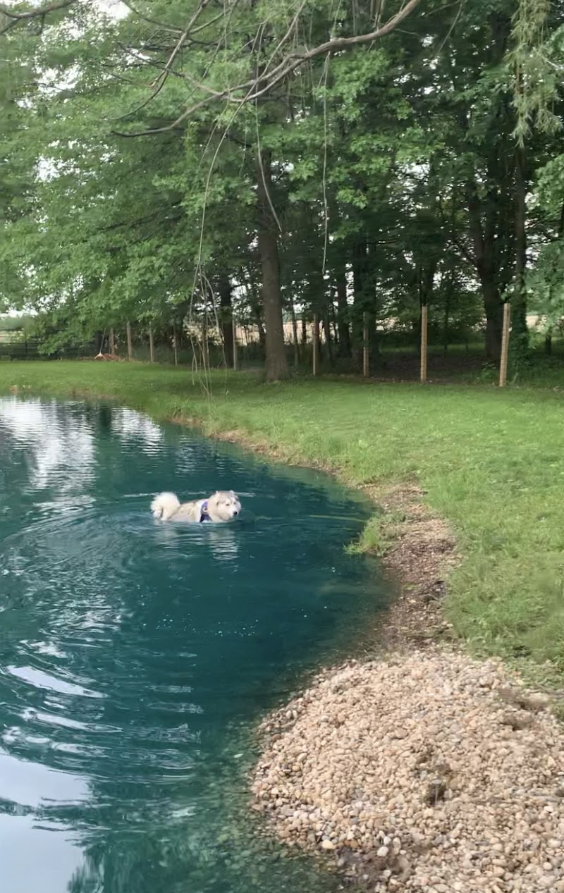 Red River Dog Farm - Wakeman, OH