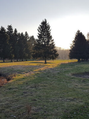 Astorhurst Picnic Area