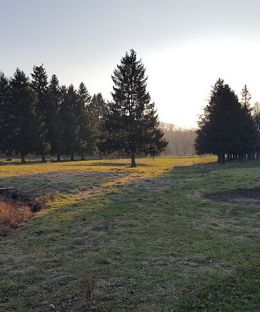 Astorhurst Picnic Area
