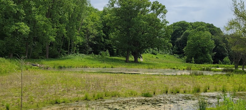 Astorhurst Picnic Area - Walton Hills, OH