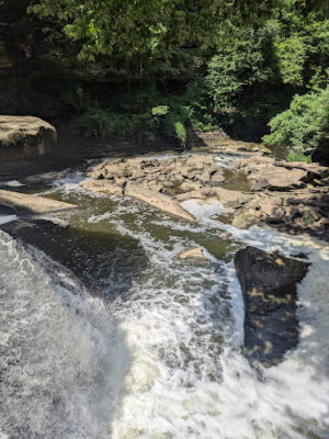 Bedford Reservation