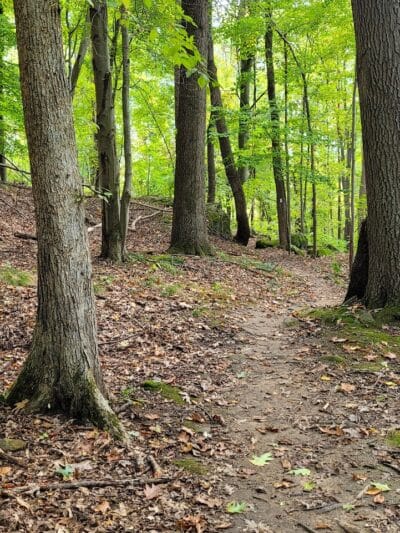 Bedford Reservation MTB trails, Olander Lot - Walton Hills, OH