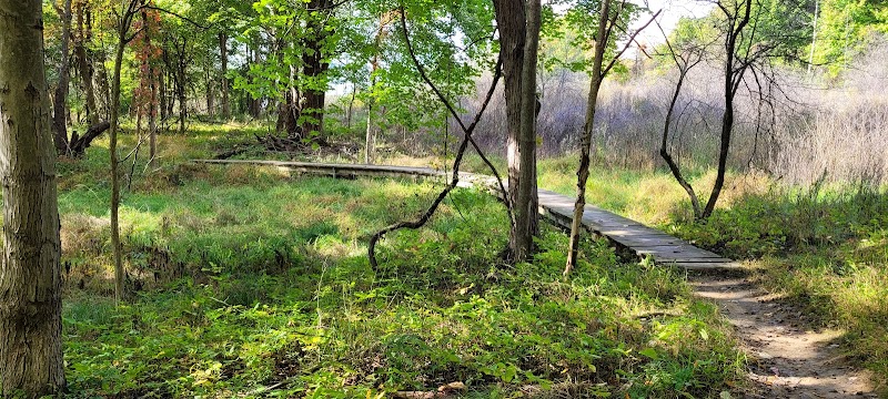 Bedford Reservation MTB trails, Olander Lot - Walton Hills, OH