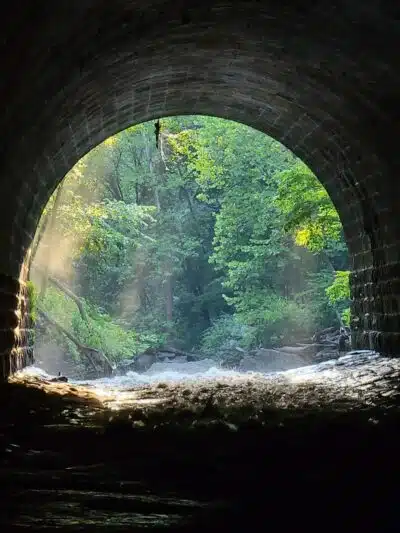 Egbert Picnic Area - Walton Hills, OH