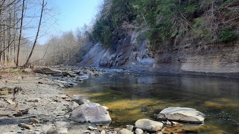 Hemlock Creek Picnic Area - Walton Hills, OH