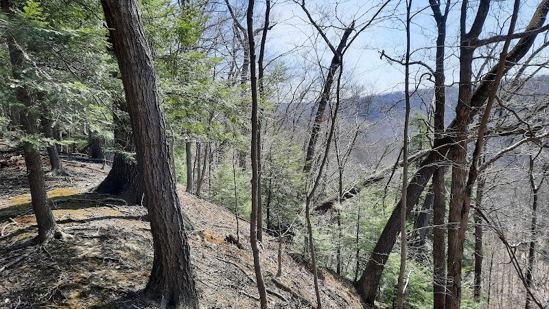Hemlock Creek Picnic Area - Walton Hills, OH