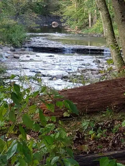 Hermit's Hollow Picnic Area - Walton Hills, OH