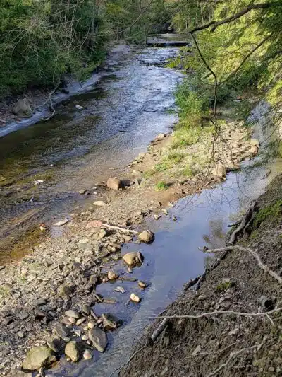 Hermit's Hollow Picnic Area - Walton Hills, OH