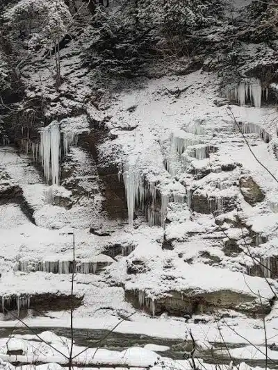 Hermit's Hollow Picnic Area - Walton Hills, OH