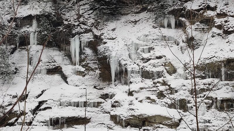 Hermit's Hollow Picnic Area - Walton Hills, OH