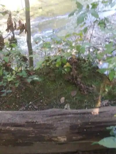 Hermit's Hollow Picnic Area - Walton Hills, OH