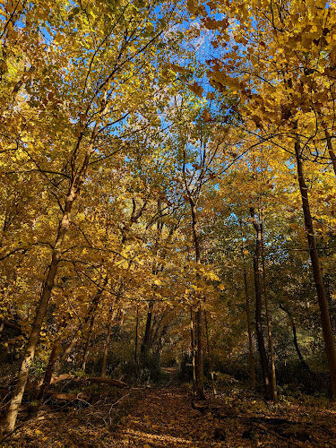Sagamore Creek Trail Loop